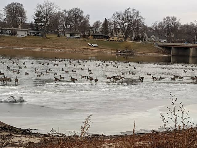 River Park East - Image 1