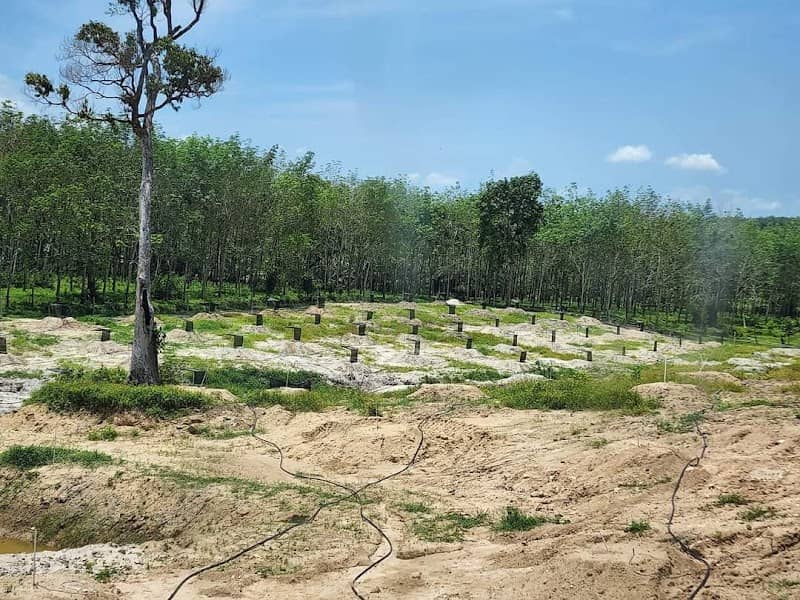 Teduhan Hijau - Image 1
