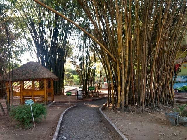 Suvarnodyanam Biological Park - Image 1