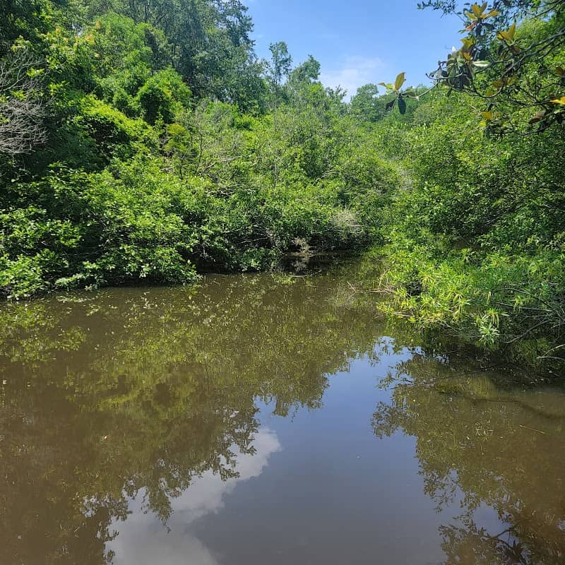 Riverside Park - Image 1