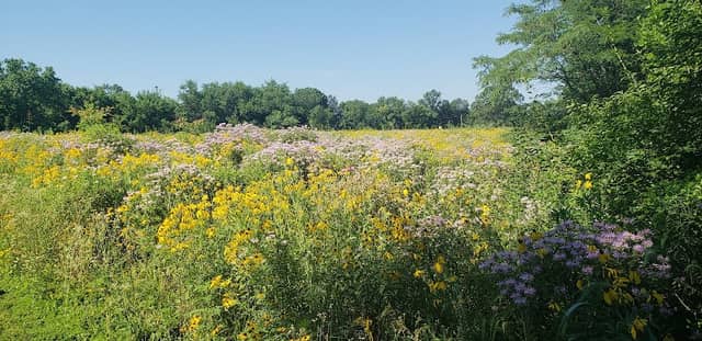Bonnie View Nature Sanctuary - Image 1