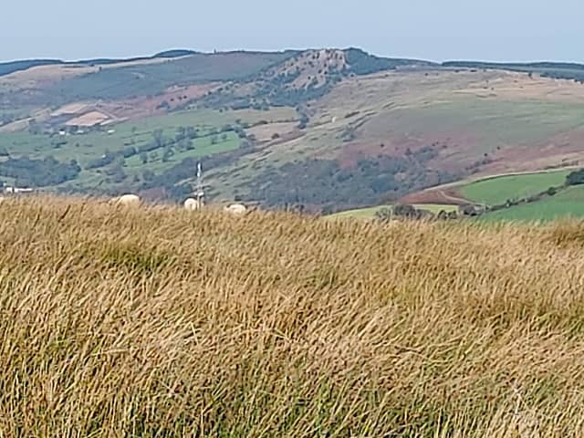 Mynydd Y Glyn - Image 2