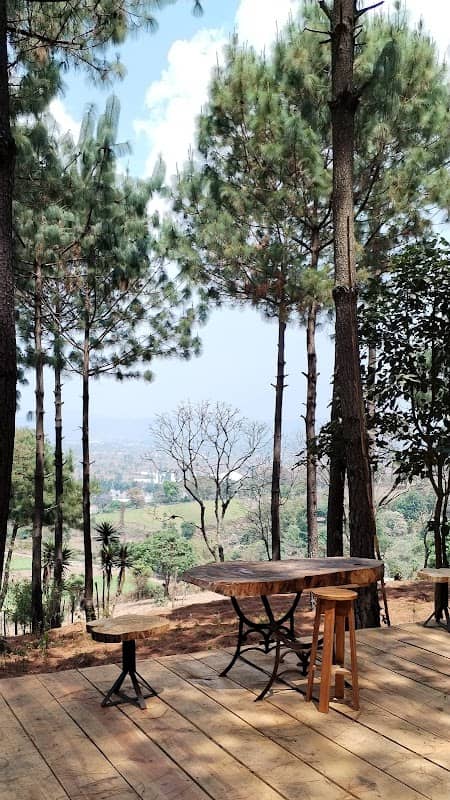La pinada - Image 1