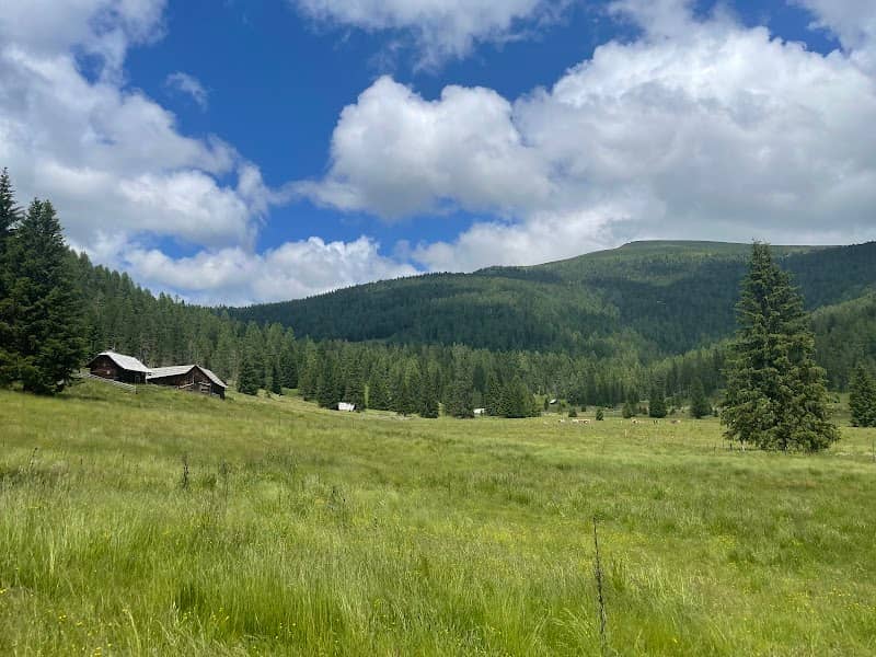 St. Lorenzener Moor - Image 1