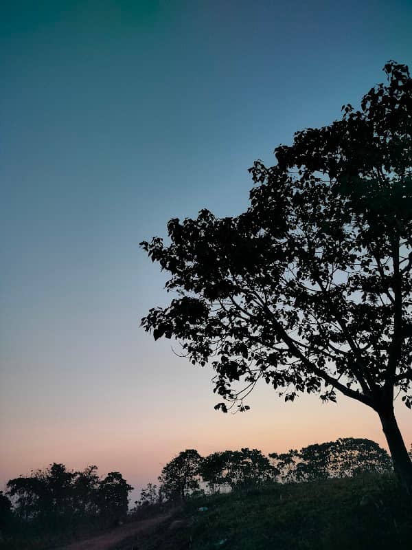 Kuzhiyanamkunn Hill Point - Image 1