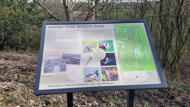Leddy's Field - Image 2