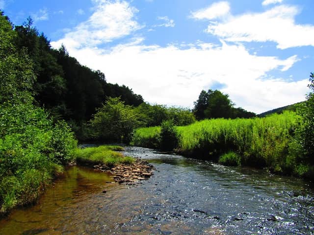Stone Camp Run Trail - Image 1