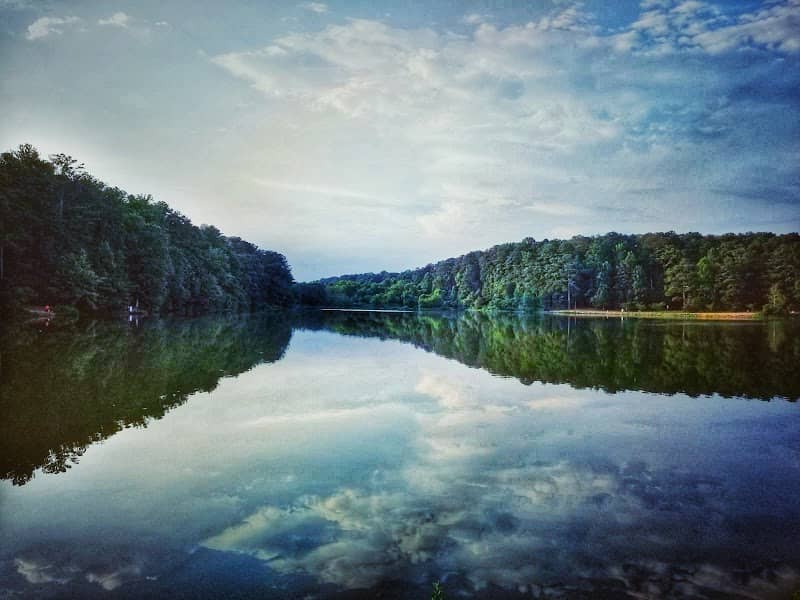 Murphey Candler Park - Image 1