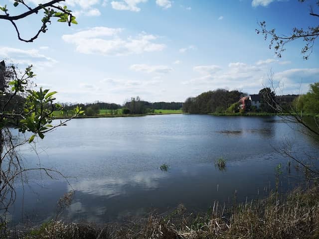 Staudamm Vorbecken Neumalsitz - Image 1