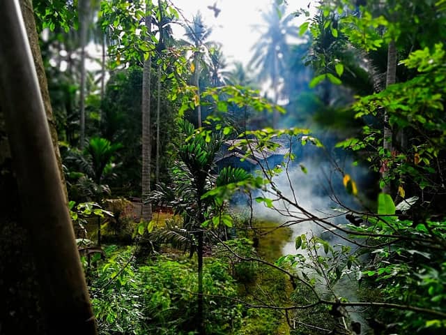 Parit pinang sebatang - Image 1