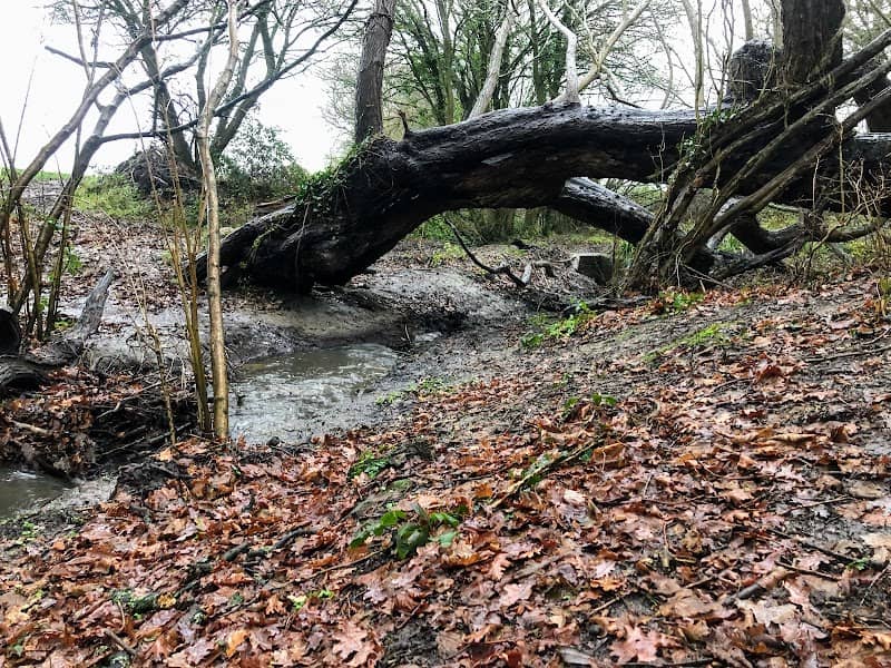Lower Swaines Conservation Area - Image 2