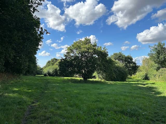 Lower Swaines Conservation Area - Image 1
