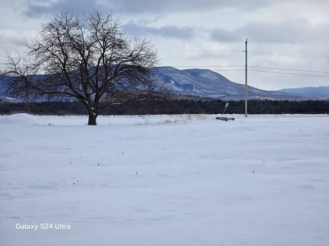 Otter Creek - Image 1