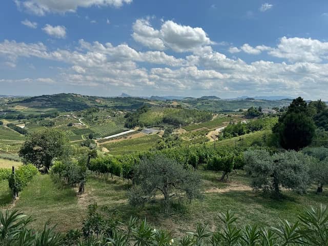 Lookout Longiano - Image 2