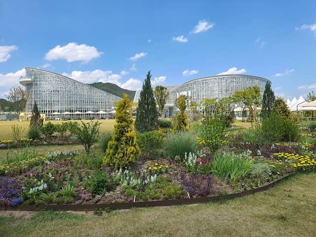 Sejong National Arboretum - Image 2