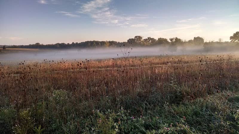 Duck Farm Forest Preserve - Image 2
