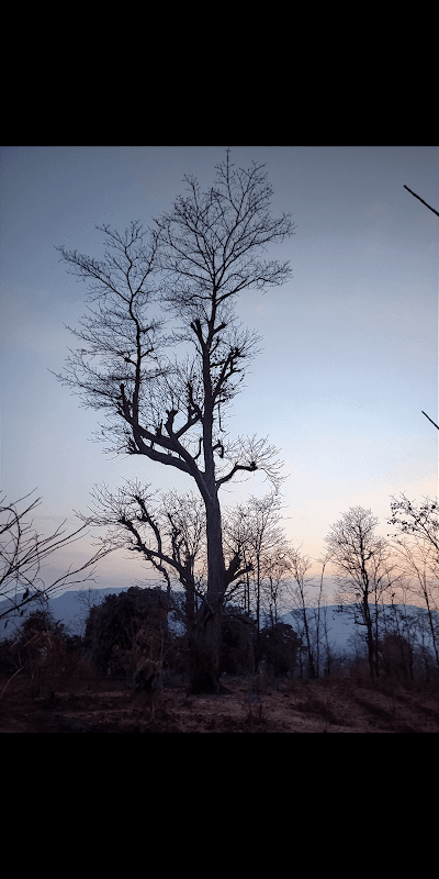 Nane hill - Image 2