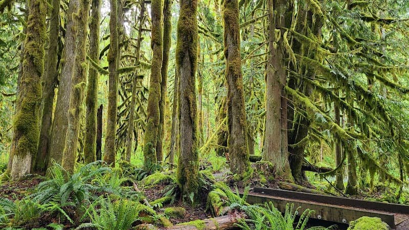 Maloney Creek Interpretive Trail - Image 2