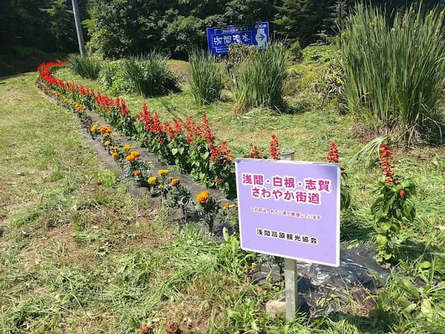 Asamakogen Suzuranzaka Park - Image 1