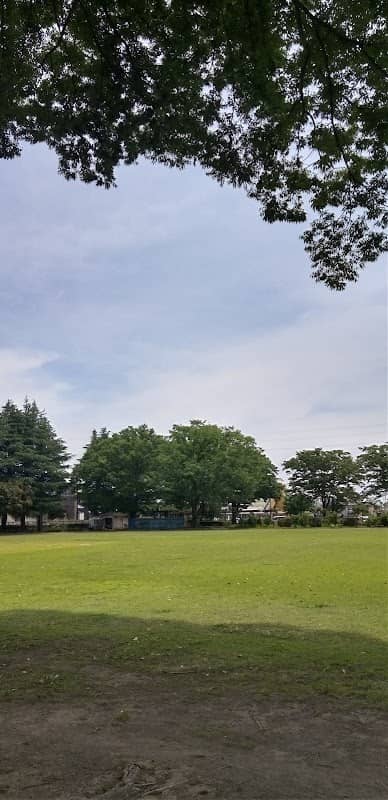 Oshima Park - Image 2