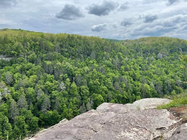 The Point at Obed River - Image 1
