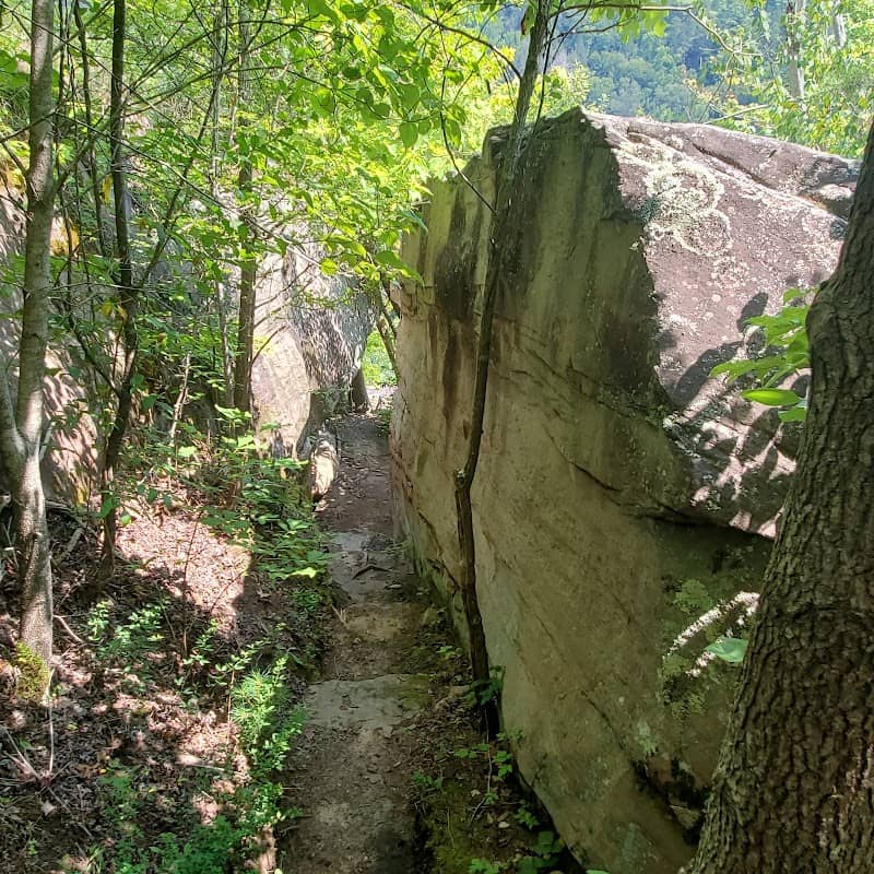 The Point at Obed River - Image 3