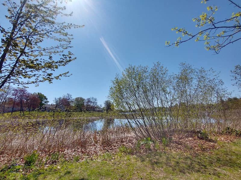 Johnston Park - Image 2