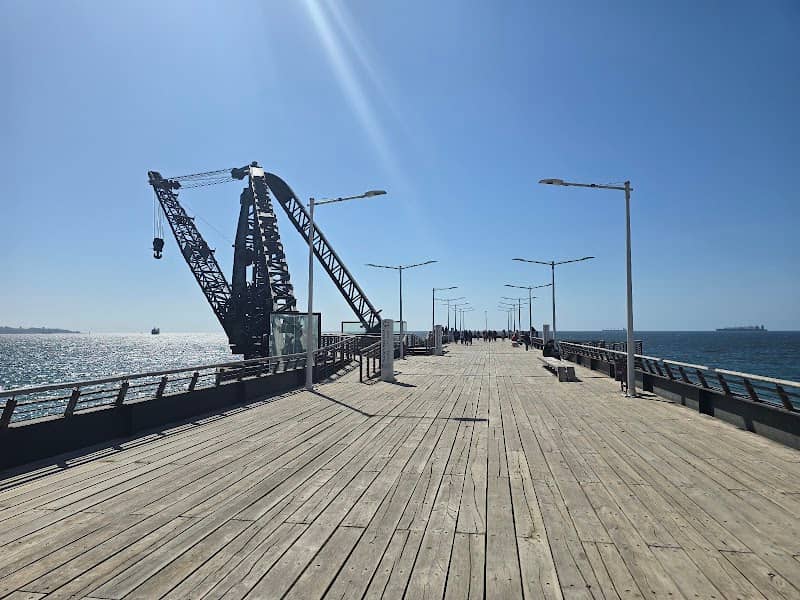 Vergara Pier - Image 1