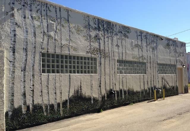 Birch Trees Mural - Image 1