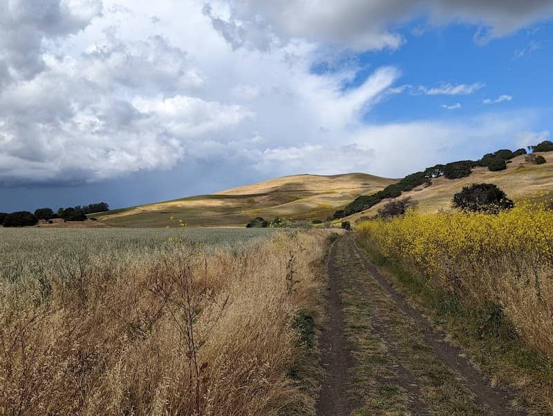 Newell Open Space - Image 2
