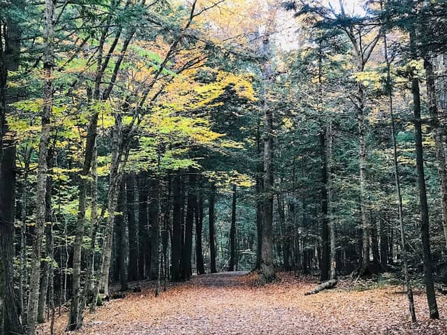 Odell Park - Image 2