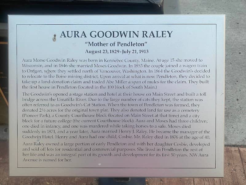 Aura Goodwin Raley "Mother of Pendleton" Statue - Image 3