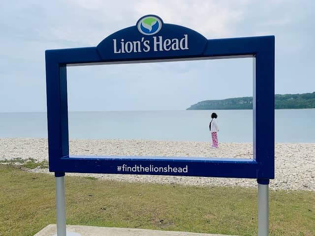 Lion's Head Sign - Image 1