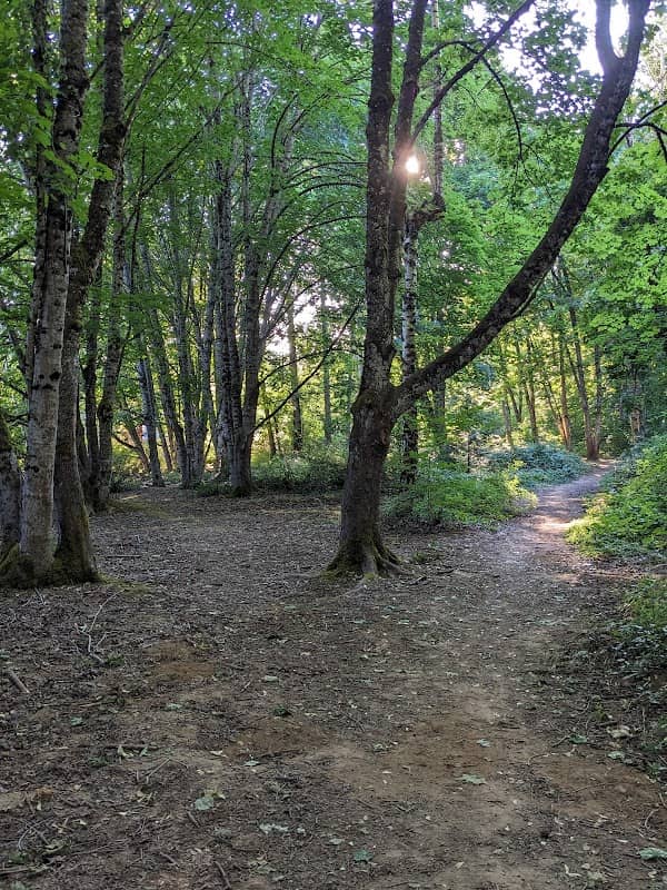 East Gresham Park - Image 1