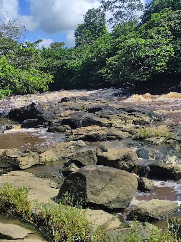 Reserva Uirapuru - Barra de Pojuca - Image 1