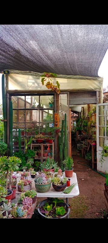 Nogales Garden - Image 1