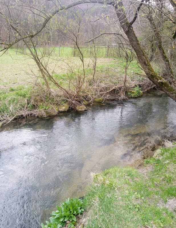 rieka Domanižanka - Image 1