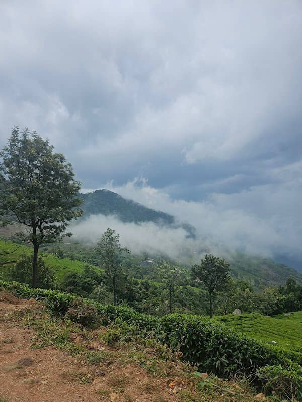 Export view point - Image 1