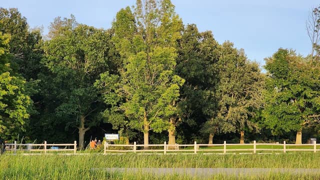 Beach Tree Zone - Image 2