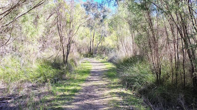 The Spectacles Wetlands - Image 1