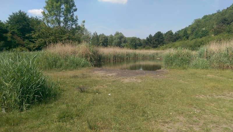 Kleiner Teich an der Rungenberghalde - Image 2