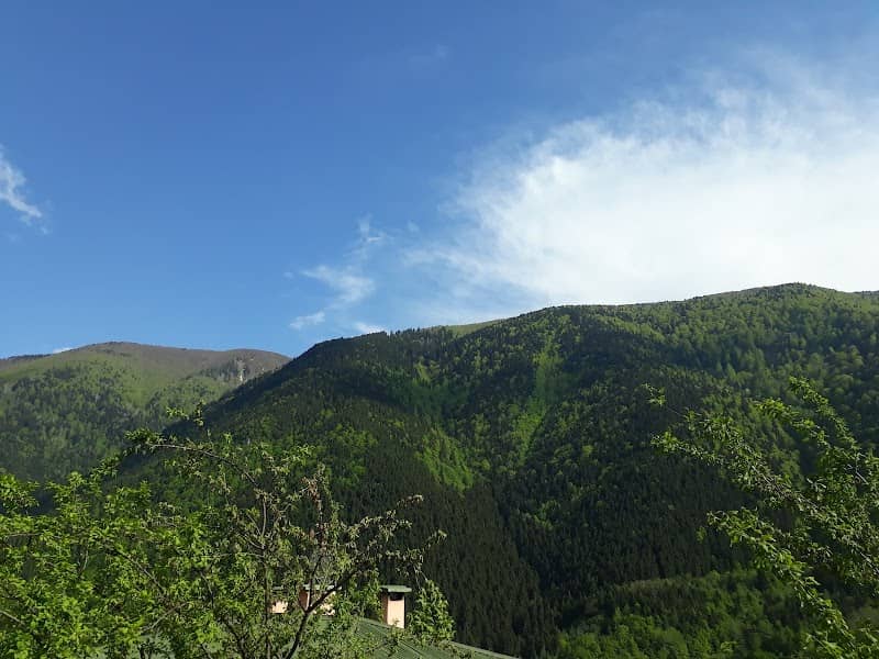 Artvin Kent Ormanı - Image 1