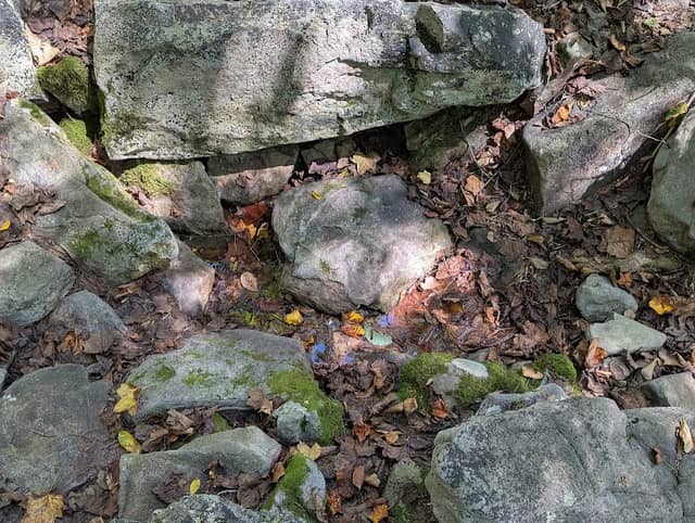 Cove Mountain Spring - Image 1