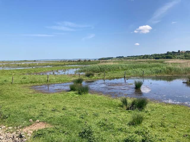 Alkborough Flats - Image 2