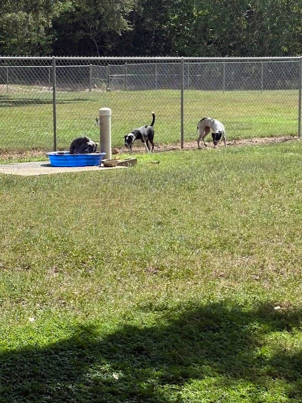 Doc. Haromy Dog Park - Image 2