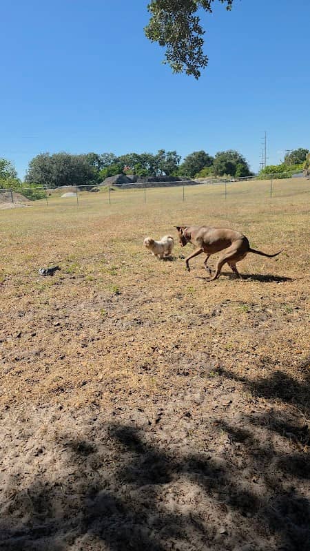 Doc. Haromy Dog Park - Image 1