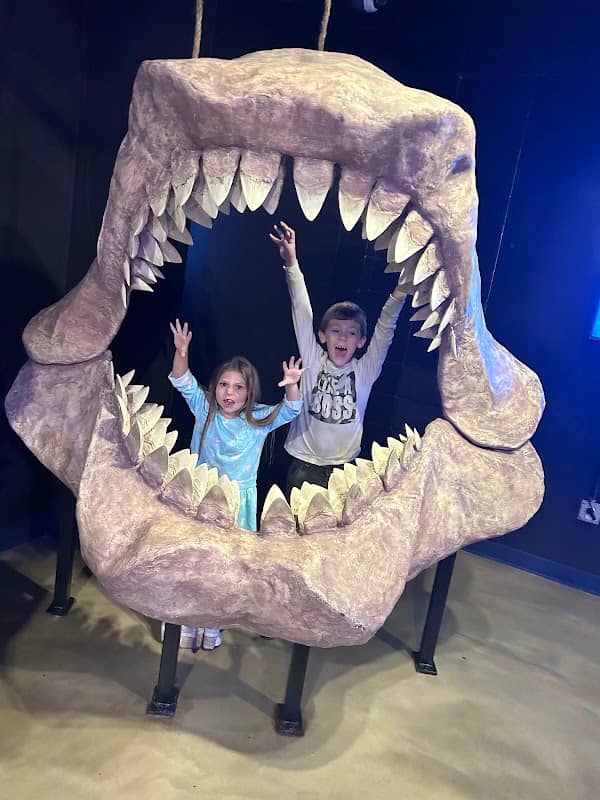 Shreveport Aquarium - Image 2