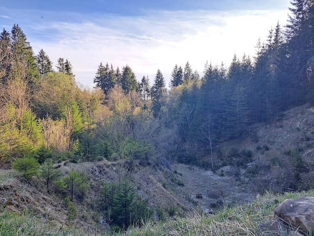 Wolkenberger Wald - Image 1