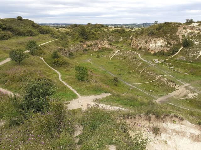 Fulwell Quarry Nature Reserve - Image 2