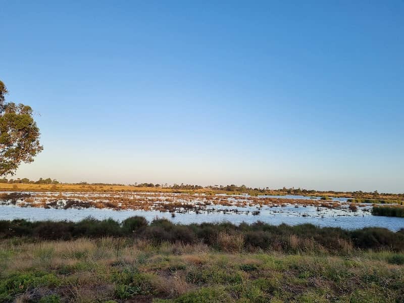 Deanside Wetlands - Image 1